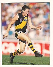 1994 Select AFL Stickers #195 Chris Naish Front